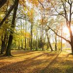 Schloss Leopoldskron Park